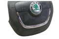Подушка безопасности водителя 1Z0880201AH, 62218052A Skoda Octavia Mk2 (1Z)