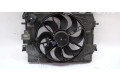 Вентилятор радиатора     214817963R    Dacia Dokker 