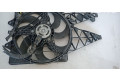 Вентилятор радиатора 50548819, 50548819 Alfa Romeo Mito