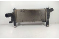 Радиатор интеркулера 14461EB360 Nissan Pathfinder R51
