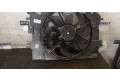 Комплект вентиляторов 214818009R, 214818009R Dacia Sandero