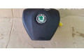 Подушка безопасности водителя 1Z0880201AP Skoda Octavia Mk2 (1Z)