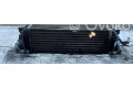 Интеркулер     Ford Transit -  Tourneo Connect 