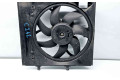 Вентилятор радиатора     967580980    Peugeot 2008 I 