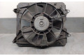 Вентилятор радиатора     19020RSRE01, 1680009670DENSO    Honda Civic IX 