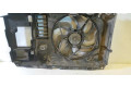 Вентилятор радиатора         Citroen Berlingo 1.9