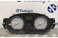 Панель приборов P248104802R, 216720407 Dacia Sandero