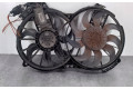 Вентилятор радиатора         Audi A6 S6 C6 4F 