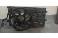 Вентилятор радиатора 51805807, P9107001 Citroen Nemo