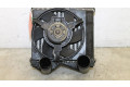 Интеркулер 0003007V003, 0003007V003 Smart ForTwo I