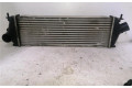Интеркулер  8200411160C, 0120045   Renault Trafic II (X83) 