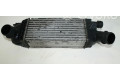Интеркулер 9657073480 Citroen C5