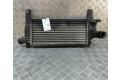 Интеркулер 14461EB360 Nissan Pathfinder R51