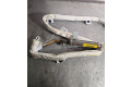 Боковая подушка безопасности 8P4880741E, 100536405   Audi A3 S3 A3 Sportback 8P