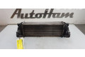 Интеркулер  4999282, 4999282   Ford Transit -  Tourneo Connect 