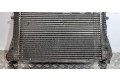 Интеркулер 1K0145803T, 3C0145805P Skoda Octavia Mk2 (1Z)