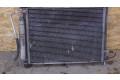 Комплект радиатора    Renault  Clio III  2005 - 2012 года