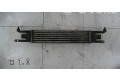 Интеркулер  0000050540161   Fiat Punto Evo 
