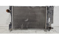 Радиатор охлаждающей жидкости     Fiat Punto Evo