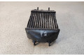 Радиатор интеркулера       Renault Scenic RX