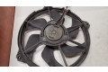 Вентилятор радиатора 300000801 Citroen C4 Grand Picasso 1.6