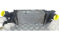 Интеркулер  00000384G9   Citroen C5 