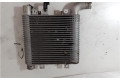 Радиатор интеркулера         Hyundai Santa Fe 