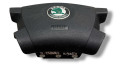 Подушка безопасности водителя 30213020782158, 61305245d Skoda Fabia Mk1 (6Y)