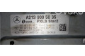 Блок управления A2139005035, 654920   Mercedes-Benz GLE W167