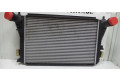 Интеркулер 1K0145803BM, 1K0145803AF Volkswagen Beetle A5