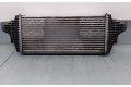 Интеркулер  A1645001900, A1645001900   Mercedes-Benz R W251 