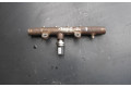 Топливная рампа 8200704212, H8200704217 Renault Scenic III - Grand scenic III