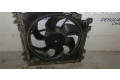 Комплект вентиляторов 8200525991, 8200525991 Renault Clio III