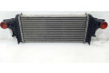 Интеркулер  A1645001900, A2515000000   Mercedes-Benz GL X164 