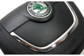 Подушка безопасности водителя 1Z0880201AH Skoda Octavia Mk2 (1Z)