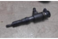 Vstřikovač Citroen C3