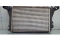 Интеркулер  1K0121253AA   Skoda Yeti (5L) 