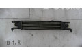 Интеркулер  0000050540161   Fiat Punto Evo 