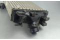 Интеркулер  144961019R   Dacia Jogger 