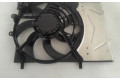 Вентилятор радиатора T300093, 3FICHAS Citroen C4 Cactus