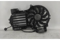Вентилятор радиатора 4F0121003P Audi A6 S6 C6 4F