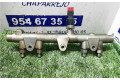 Топливная рампа 0445214010, 0445214010 Citroen Xsara для двигателя DW10TD(RHY)