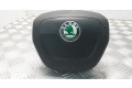 Подушка безопасности водителя 5J0880201H   Skoda Fabia Mk2 (5J)