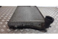 Интеркулер 1K0145803T, 3C0145805P Skoda Octavia Mk2 (1Z)