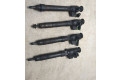 Комплект форсунок 28388960, 9674984080 Citroen C4 II Picasso DV6C