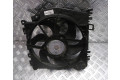 Вентилятор радиатора Renault Clio III
