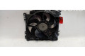 Вентилятор радиатора     8200966248    Renault Clio III 
