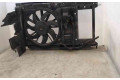 Вентилятор радиатора     1253K2, 21801489    Citroen C4 I 
