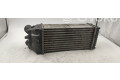Интеркулер 874964gj Citroen Berlingo