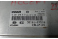 Řídící jednotka 0281010619, 3910127510 Hyundai Accent 2000